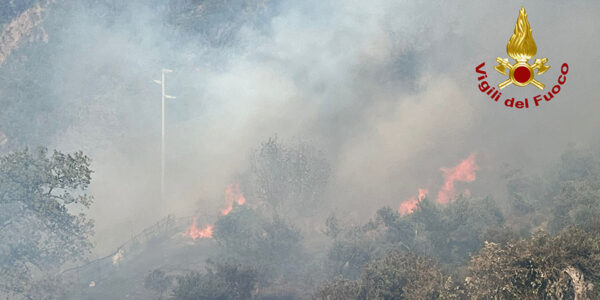 Incendio nelle colline di Pezzolo: intervento tempestivo dei Vigili del Fuoco