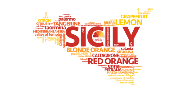 Ingresso di 20 nuove aziende nel Distretto Agrumi di Sicilia: svolte le Assemblee dei soci