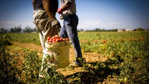 Nuova edizione di Su.Pr.Eme: contrasto al caporalato