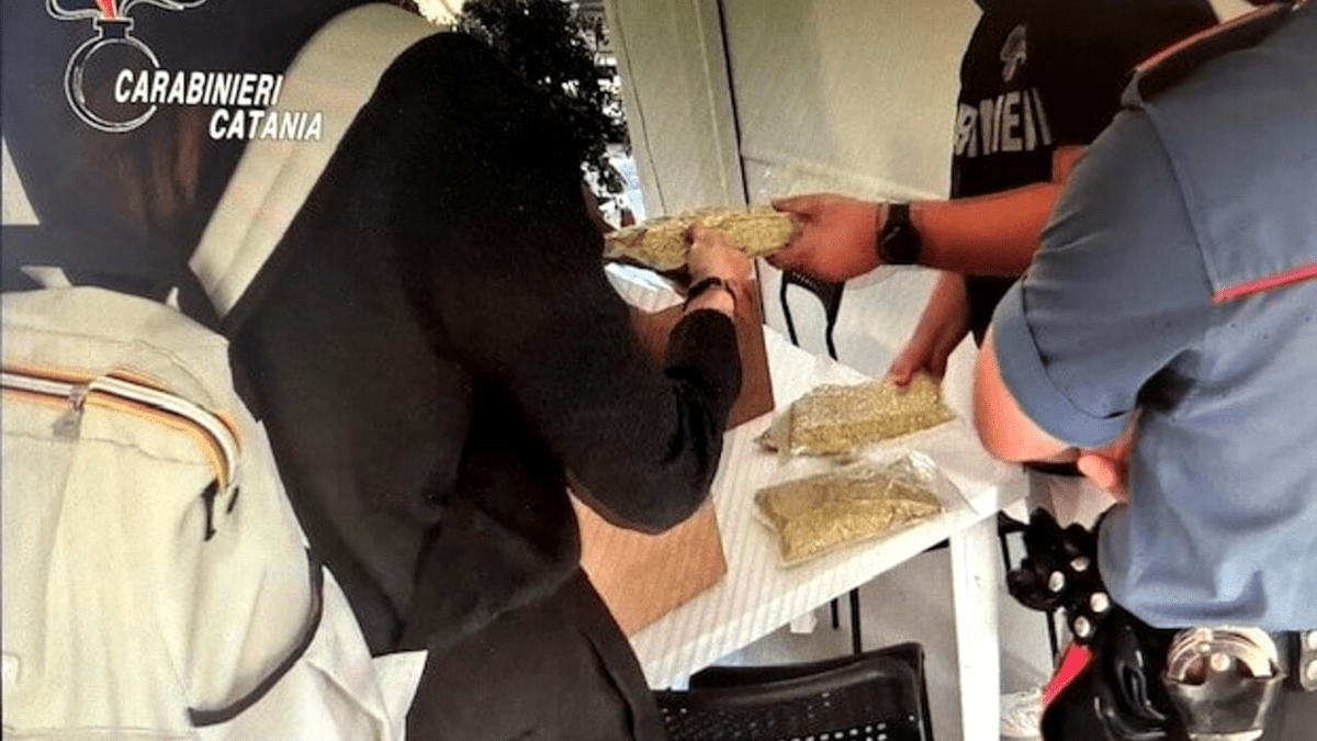 A Bronte il pistacchio non è certificato: chiusura bar per violazioni igienico sanitarie [VIDEO]