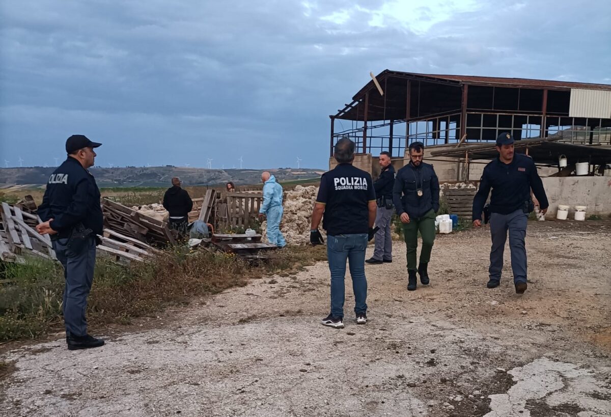 Controlli igienico-sanitari su aziende agricole: azione della Polizia di Stato ad Agrigento