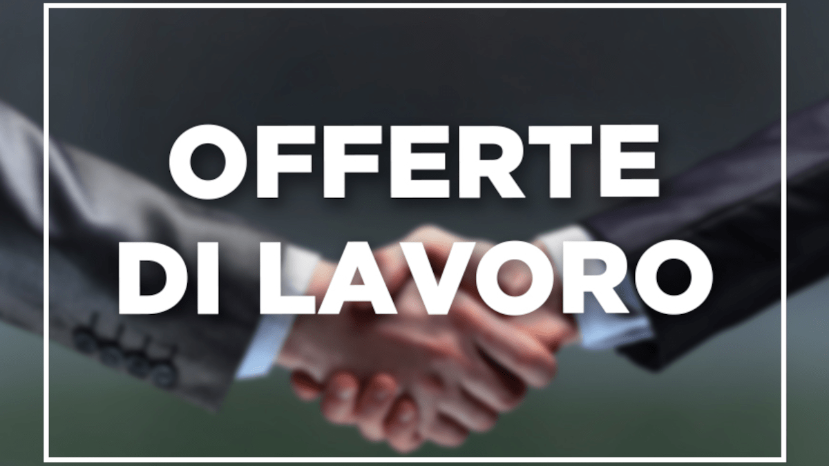 Opportunità di Lavoro a Catania: La Rinascente, Eurospin e Università assumono