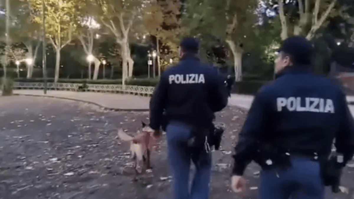 Vittima Aggressione Violenza Sessuale Violenza sulle Donne Polizia Palermo Bagheria Pestaggio