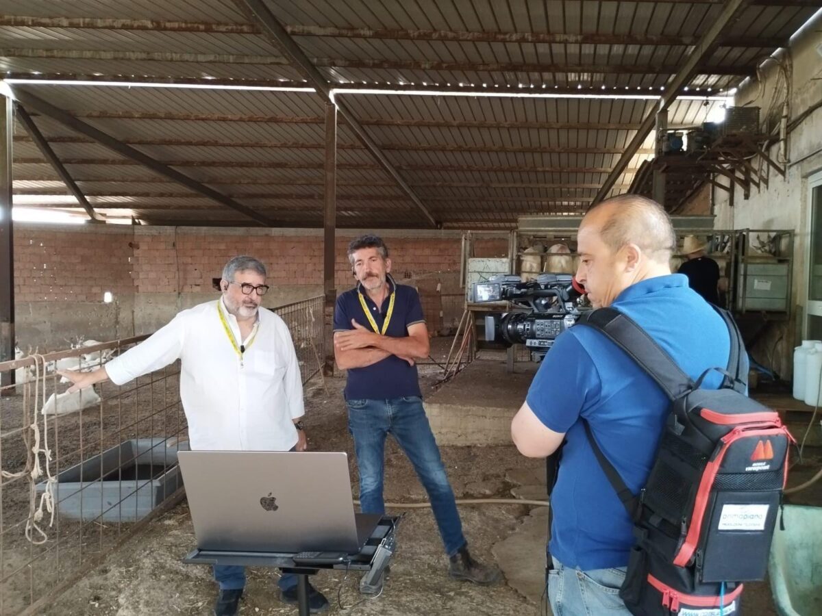 Emergenza acqua per le aziende zootecniche di Caltanissetta