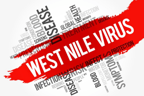 Misure di prevenzione per il West Nile Virus nel 2024