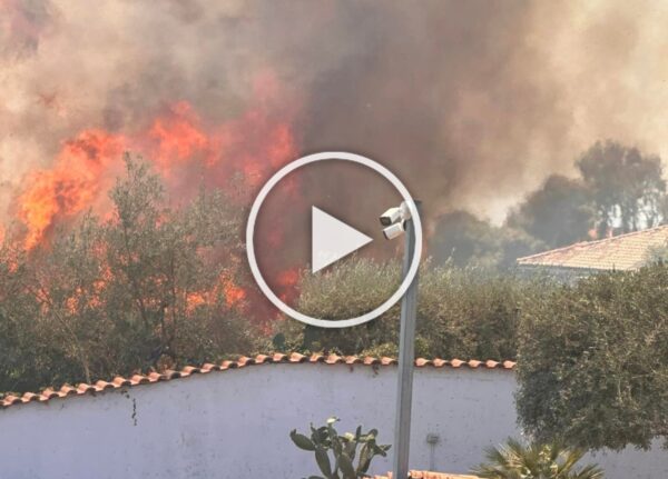 Vastissimo incendio tra Mascalucia e San Pietro Clarenza: intervento massiccio dei Vigili del Fuoco e del Canadair [VIDEO]