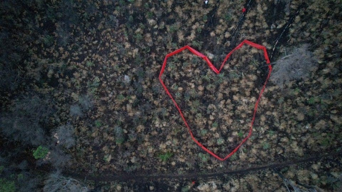 "Un cuore per l'amore verso la nostra terra", Nicolosi ricorda l'incendio ai Monti Rossi