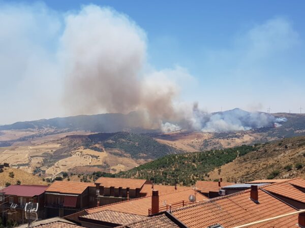 Incendi: Savarino annuncia un possibile lavoro di squadra con il Cufaa!