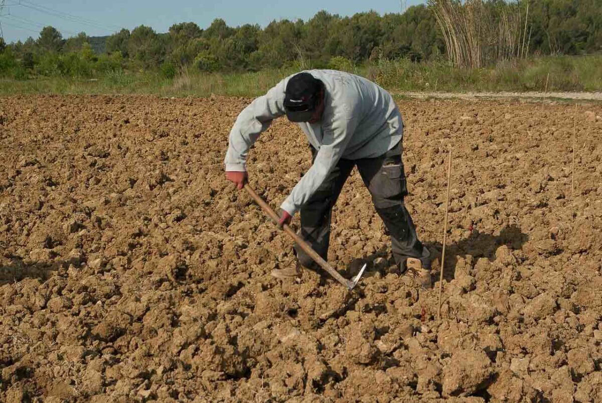 L'Italia sotto il peso del caporalato: il 50% delle aziende ispezionate dai Carabinieri risulta irregolare!