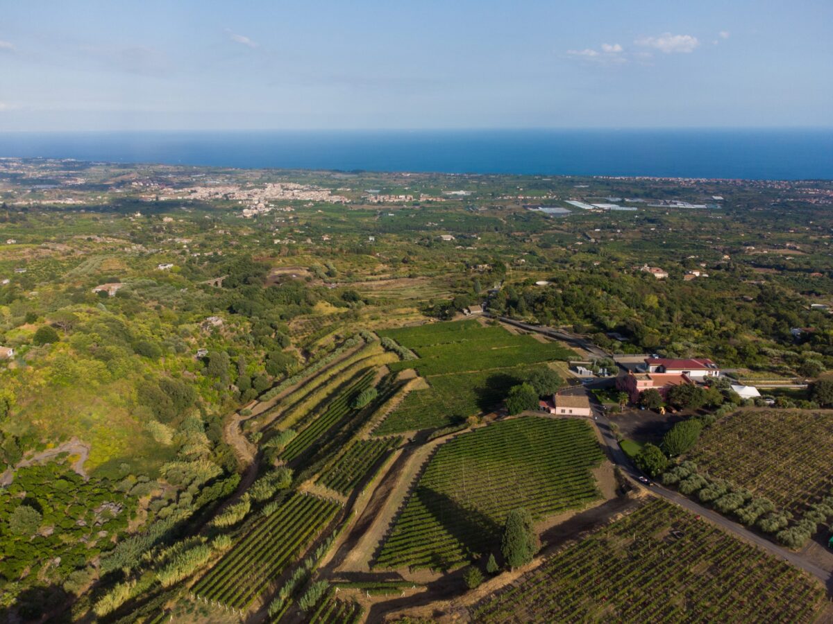 Ritorna Versante Est: diciannove cantine si svelano tra degustazioni e arte!