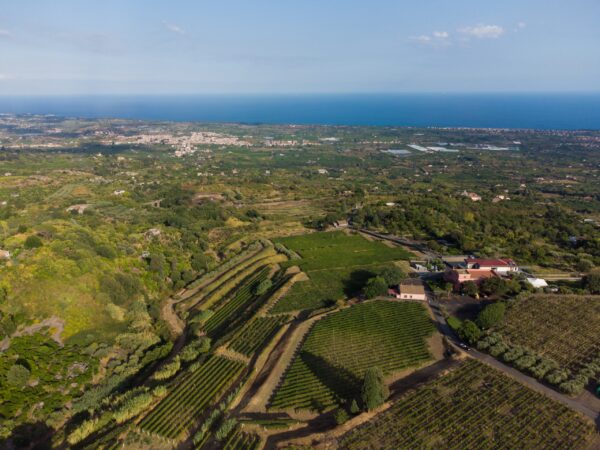 Ritorna Versante Est: diciannove cantine si svelano tra degustazioni e arte!