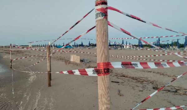 Rovigo: piccolo esploratore fa il bagno al mare e scopre una sorprendente noce sul fondale, che si rivela essere una bomba!