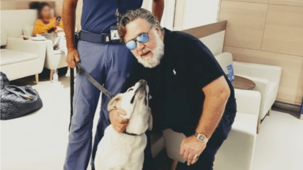 “Al mio segnale, scatenate le coccole”: insolito fan per Russell Crowe all’Aeroporto di Catania