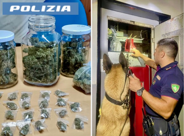 Scoperti molti nascondigli degli spacciatori: oltre 1500 dosi e 4 kg di stupefacenti sequestrati grazie all'abilità dei cani della Polizia di Stato!