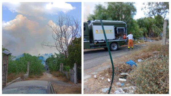 Vaccarizzo, vasto incendio incide la riserva [VIDEO]