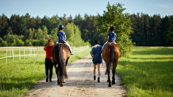 Equitazione sotto i riflettori: polemiche sconvolgono l'elezione dei vertici Fise con accuse di brogli elettorali