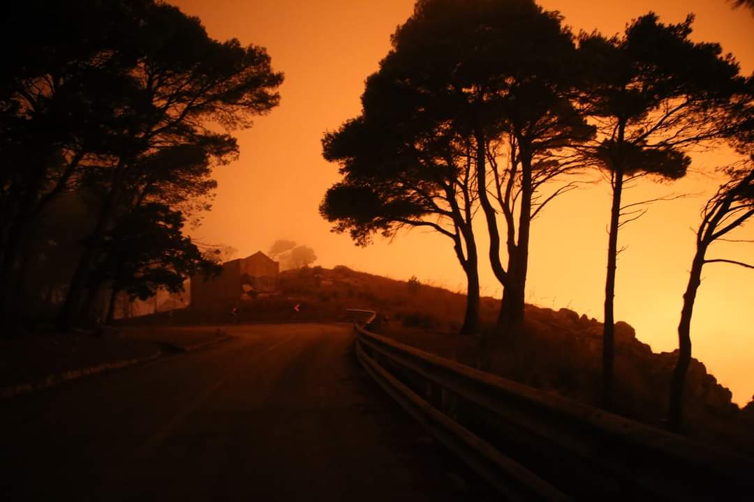 Erice: L’incendio a Monte San Matteo domato grazie all'eccezionale impegno dei volontari di Protezione Civile