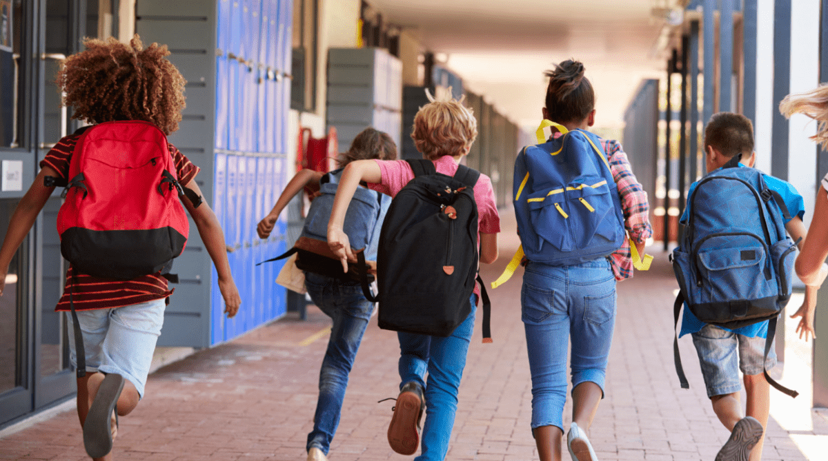 Governo sotto scrutinio: il laboratorio per bambini trans all'Università Roma Tre suscita polemiche e interrogazioni