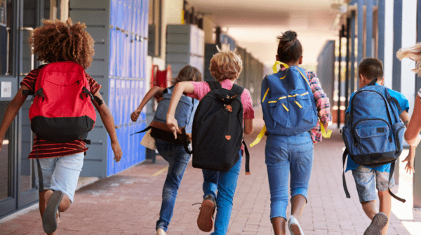 Governo sotto scrutinio: il laboratorio per bambini trans all'Università Roma Tre suscita polemiche e interrogazioni