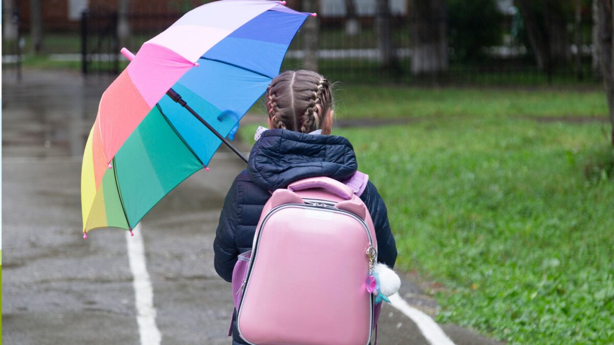 Maltempo a Bologna: scuole medie e superiori chiuse, rimanendo aperte quelle primarie e dell'infanzia!