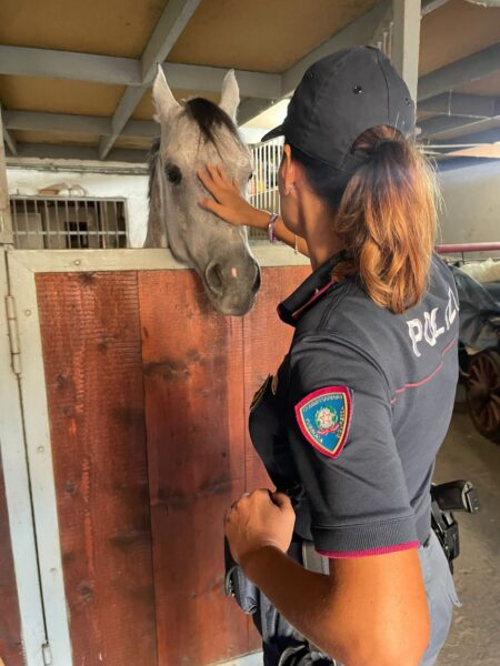 Scoperta una stalla abusiva ad Aci Castello: un cavallo in condizioni shock!