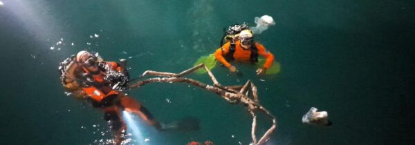 Sommozzatori in azione: salvata una persona finita in mare con l'auto!