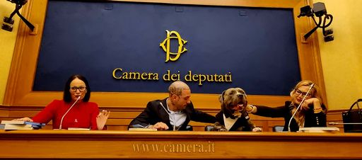 Animali da affezione in Parlamento | Gli italiani sono pronti a questa stravagante novità?