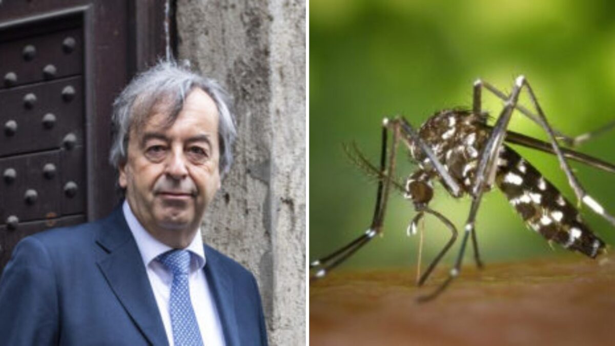 Fano in crisi: oltre 100 casi di Dengue e Burioni avverte! | Il governo sta nascondendo la verità sulla salute pubblica?