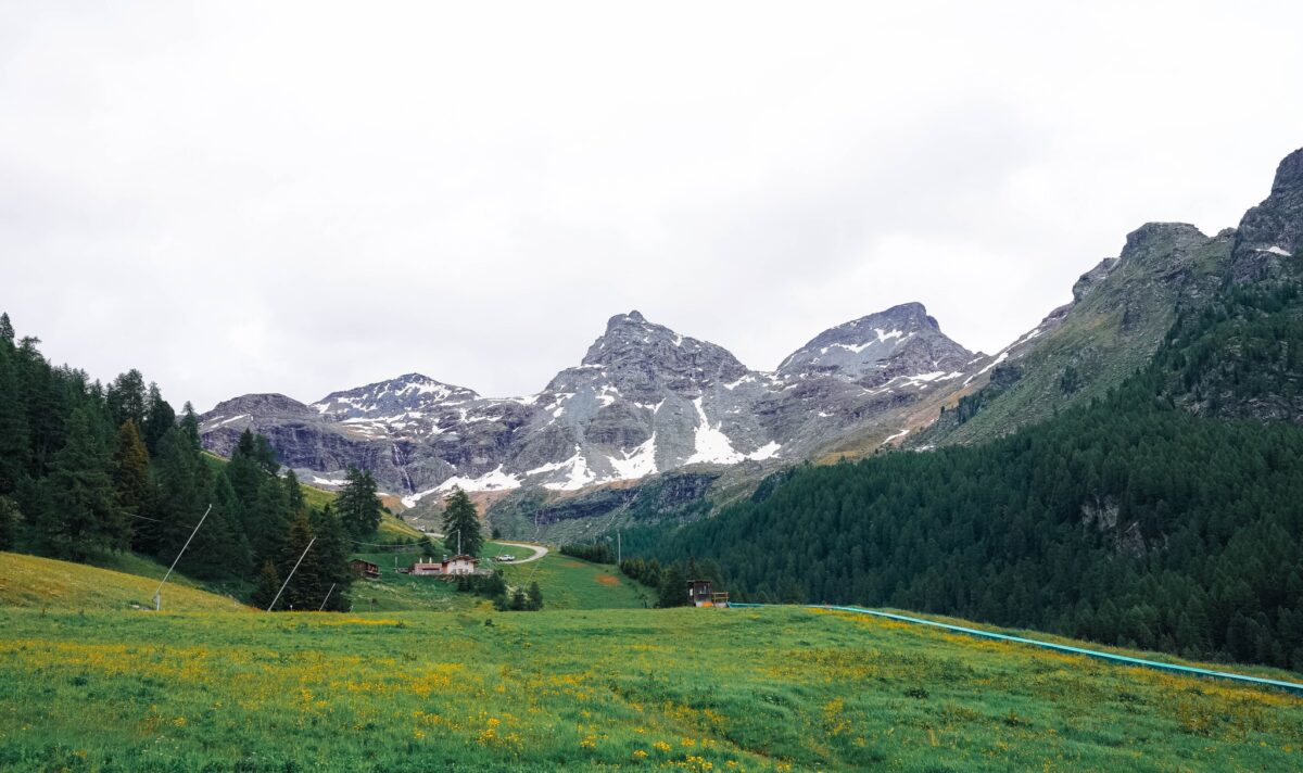 Fioretto Azzurro in Val d'Aosta | Perché questo allenamento potrebbe cambiare tutto!