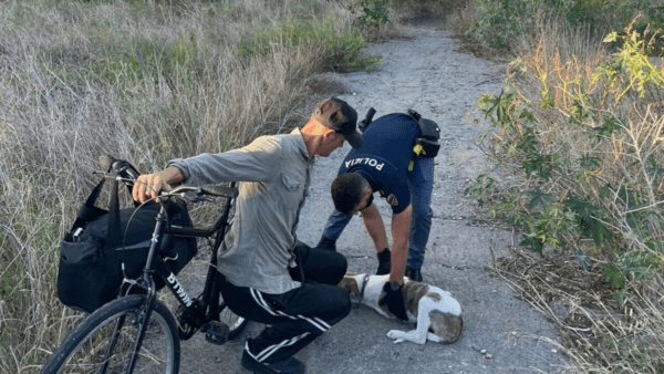 Nell’incendio al Villaggio Sant’Agata Polizia salva un clochard e il suo cagnolino