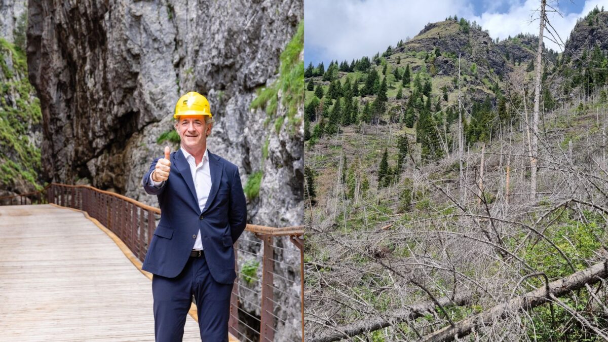 Le Dolomiti rinati dopo 6 anni di ferite | Ma quanto è stata davvero efficace la risposta dell'Italia? -