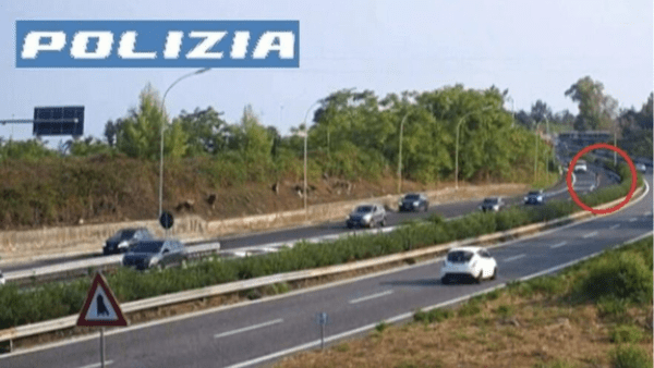 Anziano vaga in autostrada: da una parte all’altra della carreggiata [VIDEO]