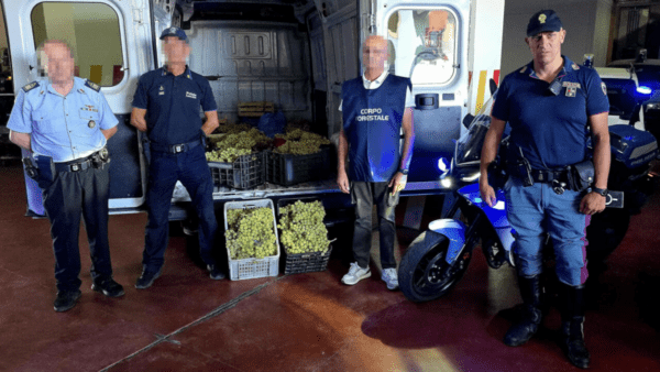 Produttori agricoli denunciano furti: Polizia trovata prodotti nei mercati ambulanti di Catania  