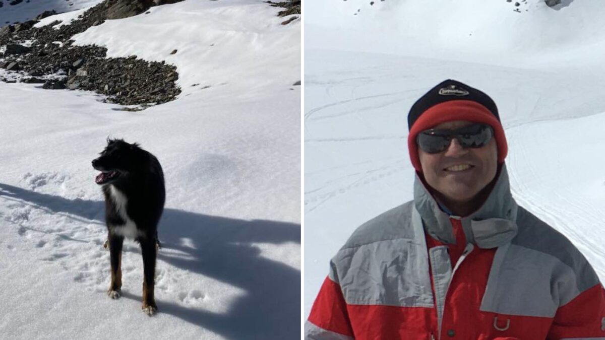 Trovato vivo il cane di un alpinista disperso da 15 giorni | La speranza di ritrovare l'uomo si riaccende!