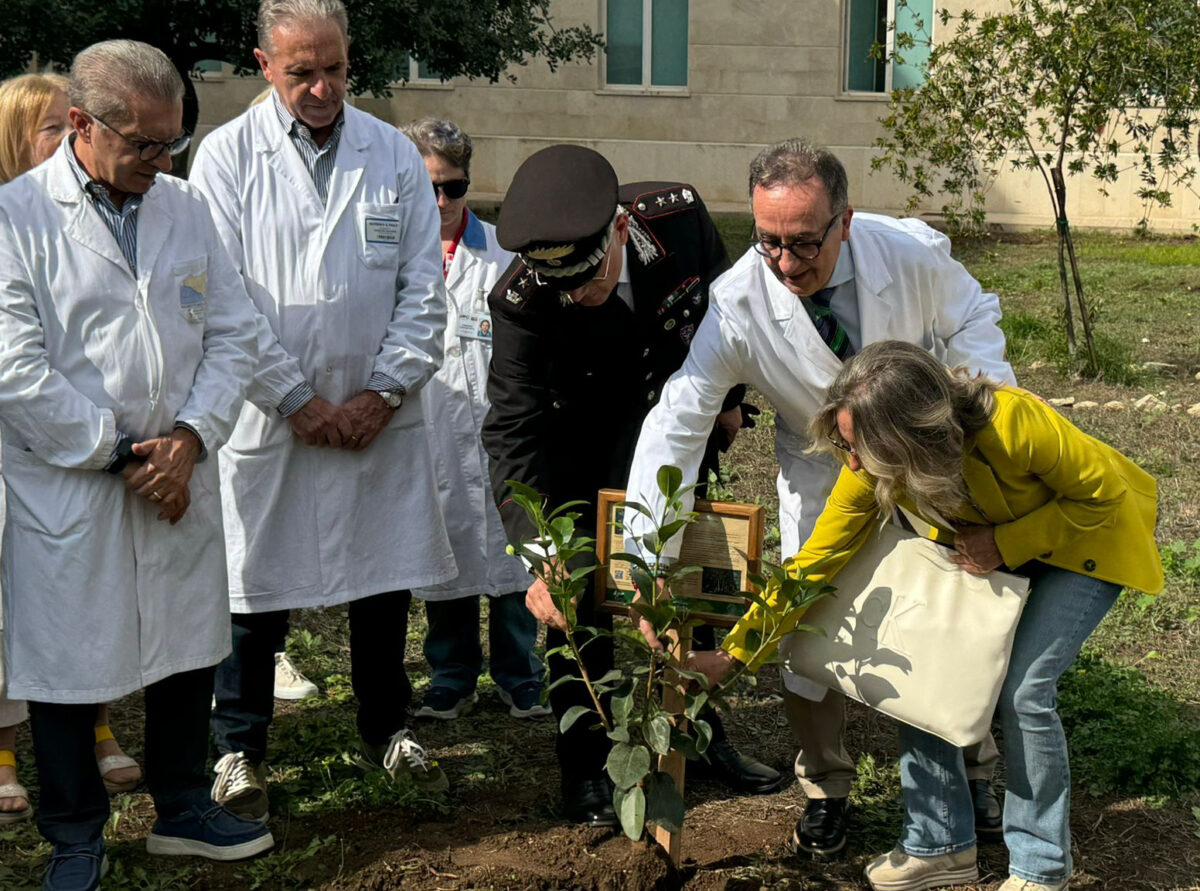 Un albero per la salute piantato in ospedale | Scopri perché questo gesto sta cambiando il futuro della medicina!