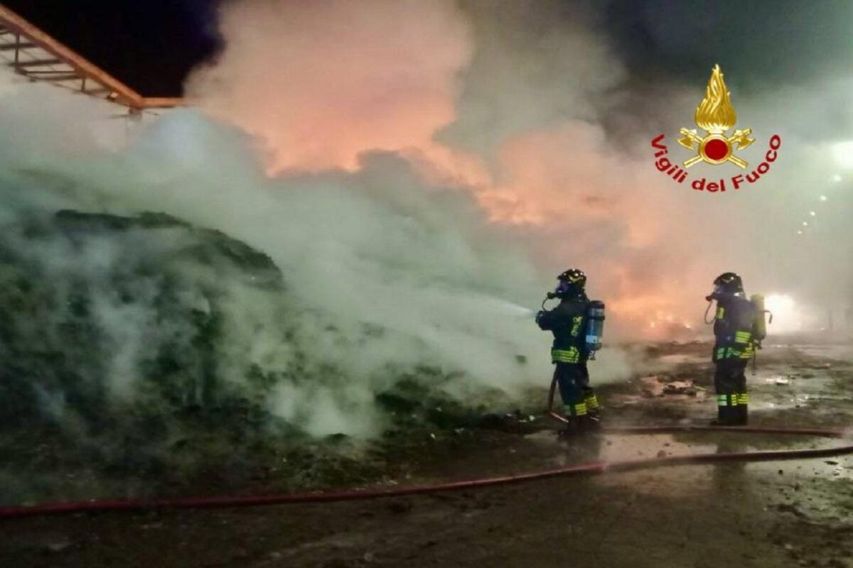 Vigili del fuoco in azione: ciò che hanno affrontato oggi ti lascerà sbalordito!