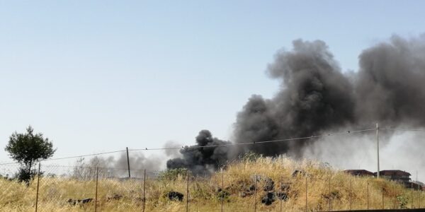 Emergenza incendi in autunno | Maria Spampinato espone i rischi a Catania