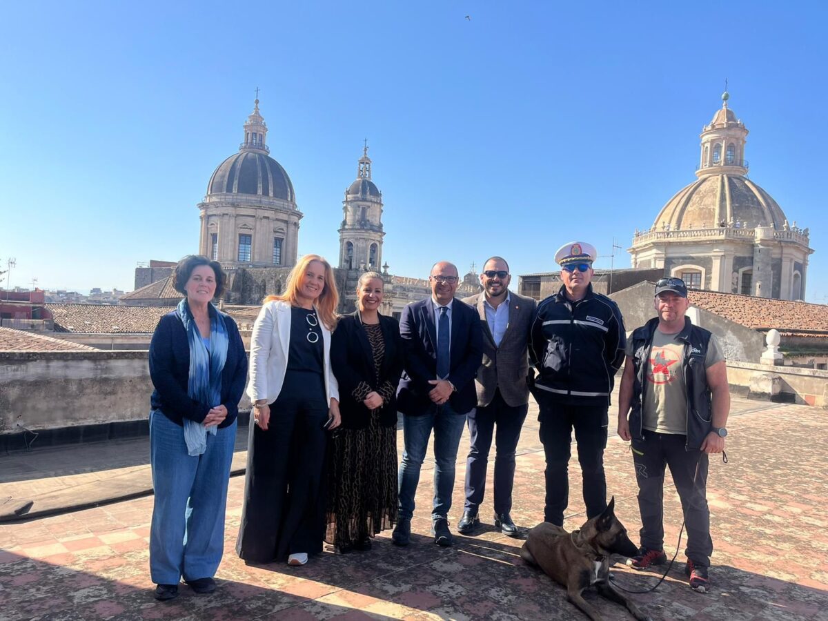 Un'iniziativa innovativa contro il randagismo| La collaborazione tra Mascalucia e Catania potrebbe cambiare tutto!