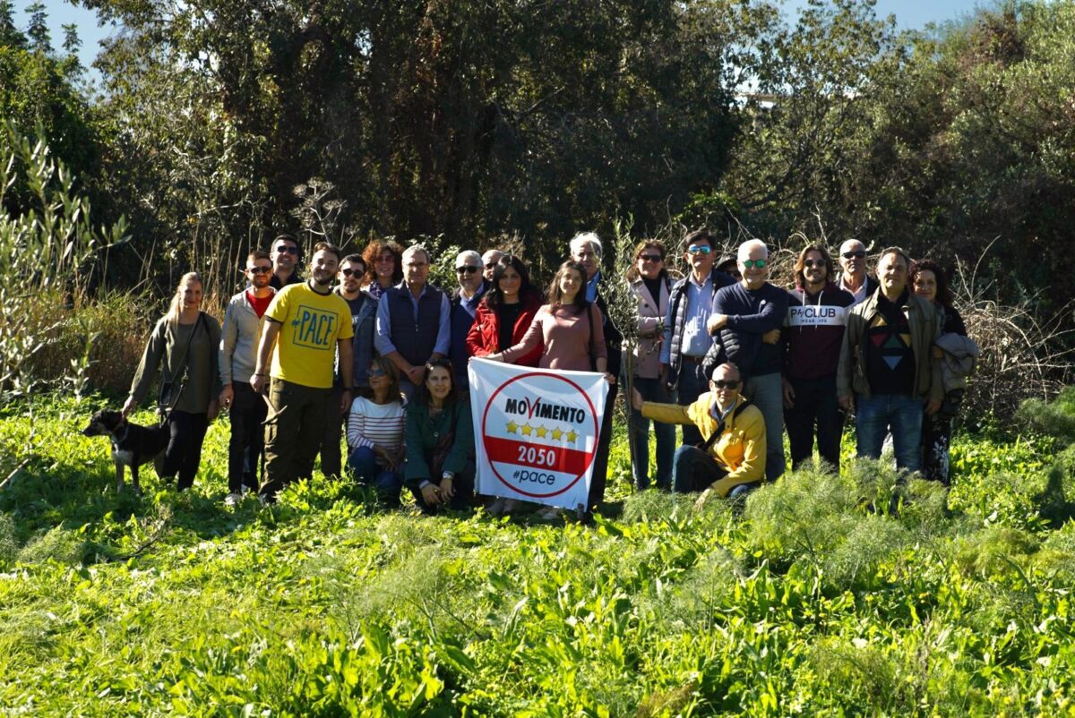 Piantumati cinque alberi a Catania: un gesto simbolico per l'ambiente e la pace