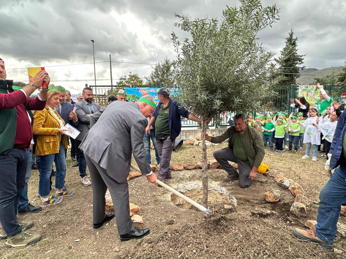 La Regione Siciliana pianta 5.000 alberi per i giovani | Sono davvero pronti a salvare il pianeta?