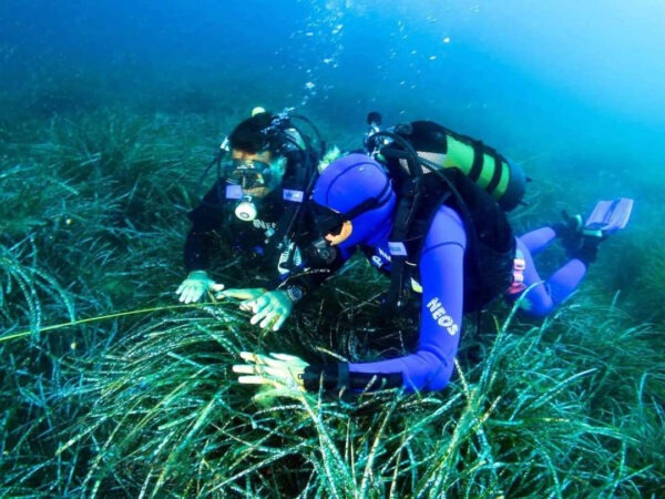 Siti archeologici sommersi in Sicilia | È ora possibile per i subacquei non vedenti esplorare il passato!