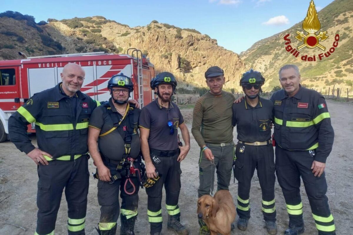 Vigili del fuoco salvano un cane in un'operazione straordinaria | Ecco perché il coraggio dei soccorritori dovrebbe farci riflettere!